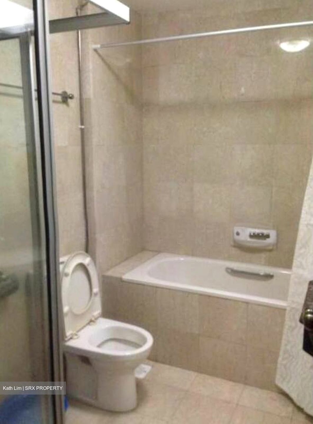 Carissa Park Condominium (D17), Condominium #524768841
